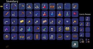 terraria lock inventory slots|Guide:Inventory management .